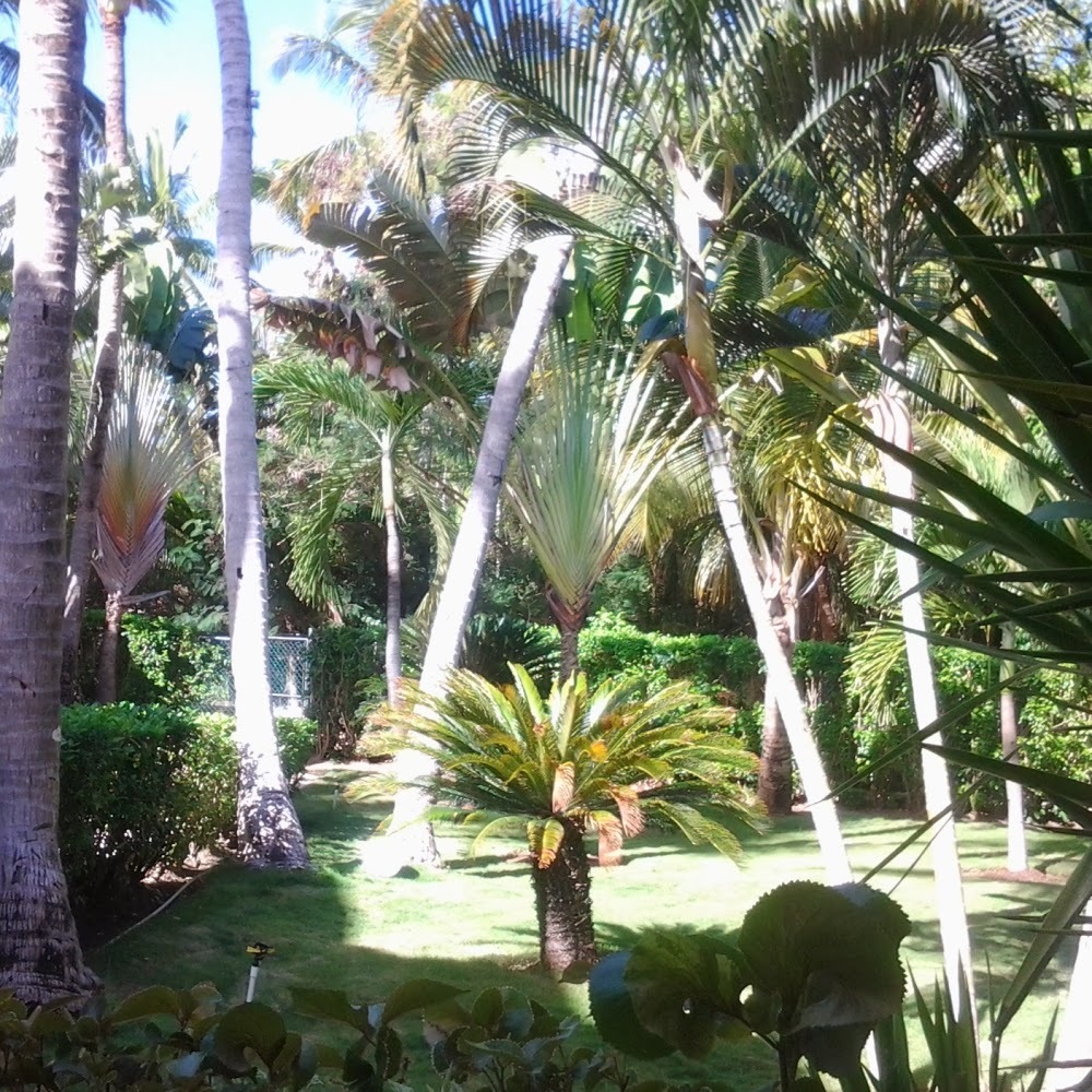 Meet your Posher, Purple B